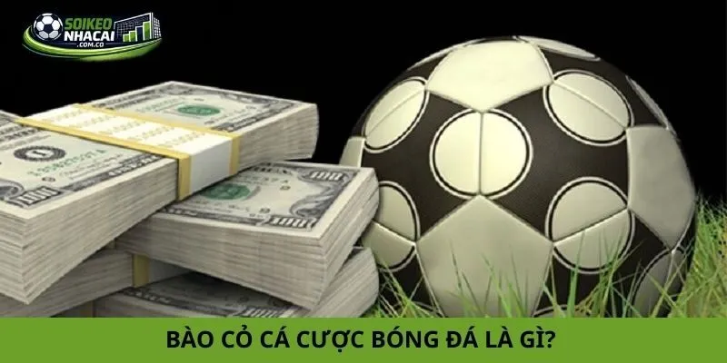 Cách bào cỏ cá cược bóng đá Cách bào cỏ cá cược bóng đá