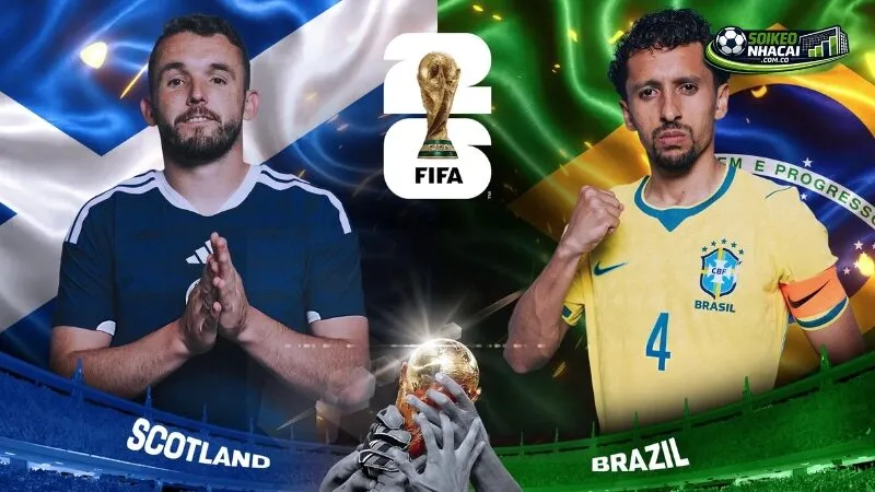 Nhận định soi kèo Scotland vs Brazil ngày 25/6 từ chuyên gia Soi Kèo Nhà Cái